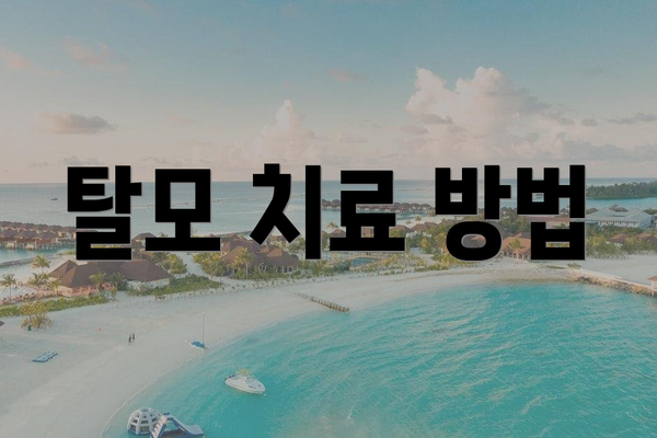 탈모 치료 방법