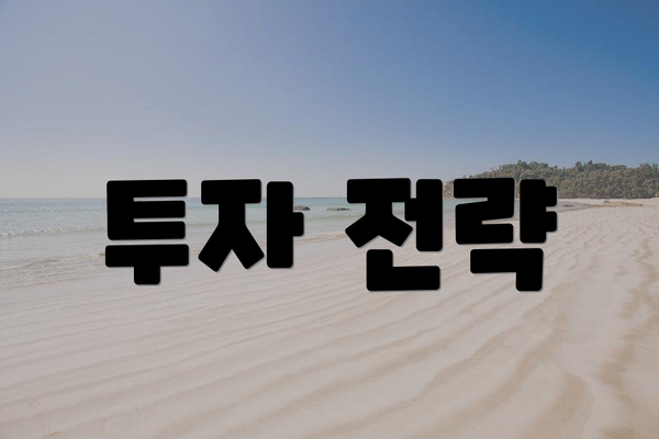 투자 전략