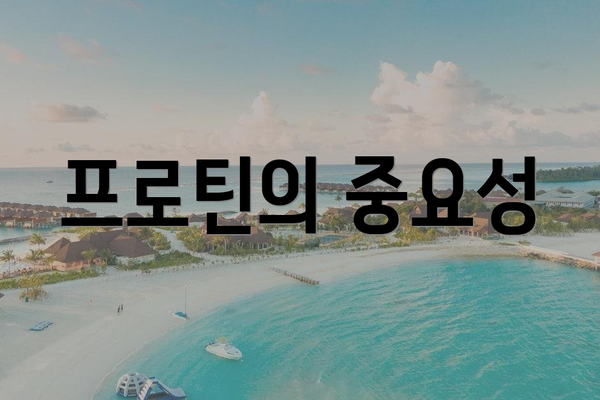 프로틴의 중요성