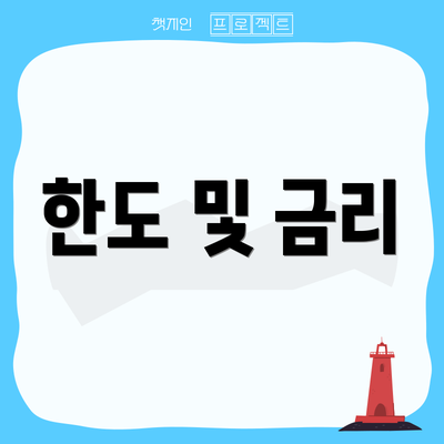 한도 및 금리