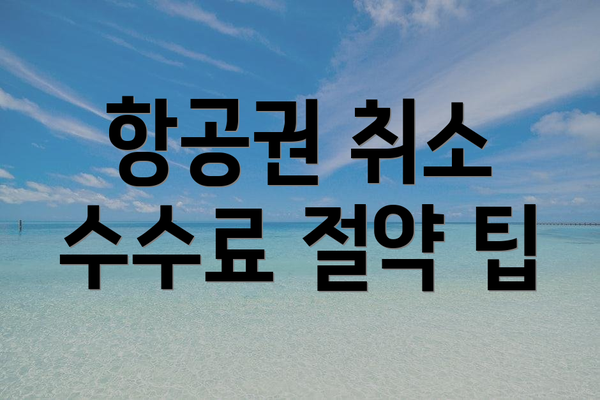 항공권 취소 수수료 절약 팁
