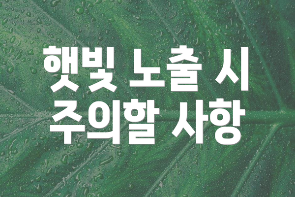 햇빛 노출 시 주의할 사항