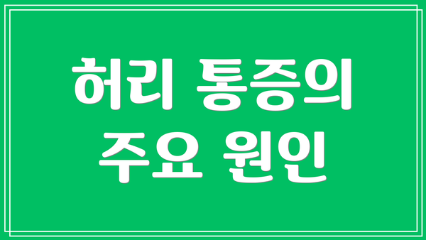허리 통증의 주요 원인