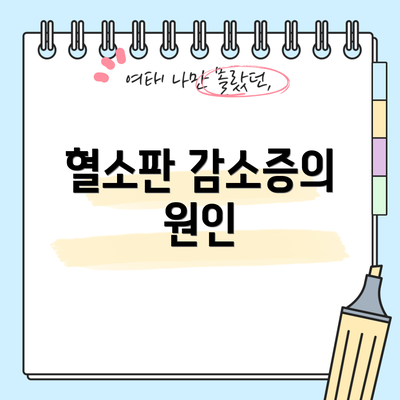 혈소판 감소증의 원인