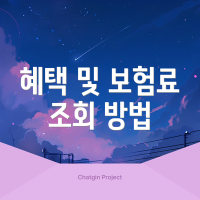 혜택 및 보험료 조회 방법