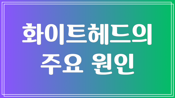 화이트헤드의 주요 원인