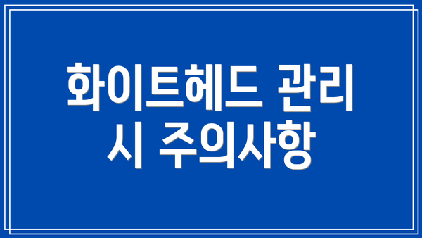 화이트헤드 관리 시 주의사항