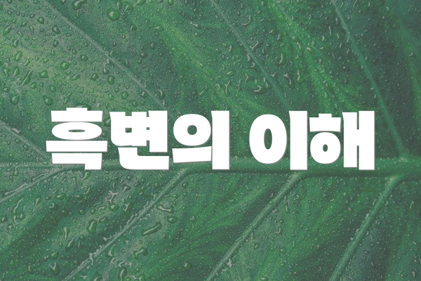 흑변의 이해