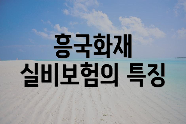 흥국화재 실비보험의 특징