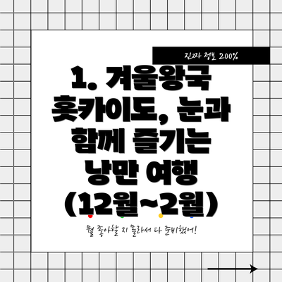1. 겨울왕국 홋카이도, 눈과 함께 즐기는 낭만 여행 (12월~2월)