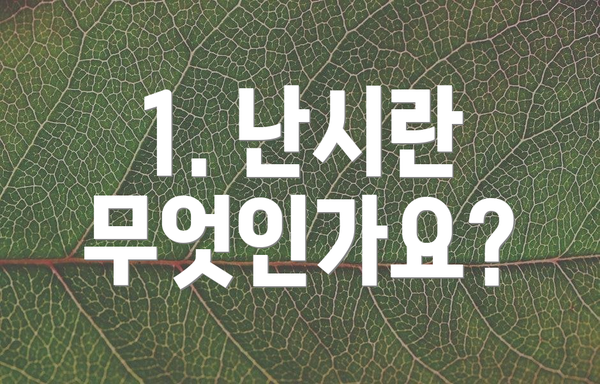 1. 난시란 무엇인가요?