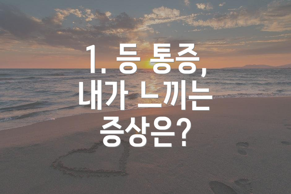 1. 등 통증, 내가 느끼는 증상은?