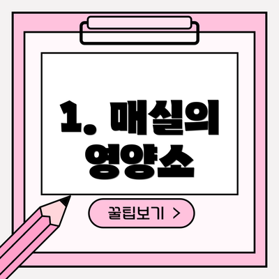 1. 매실의 영양소