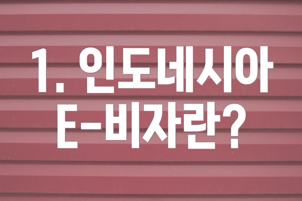 1. 인도네시아 E-비자란?