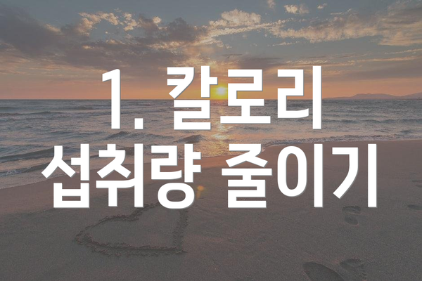 1. 칼로리 섭취량 줄이기