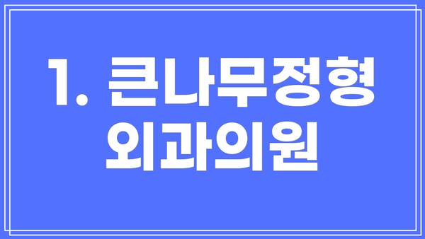 1. 큰나무정형외과의원