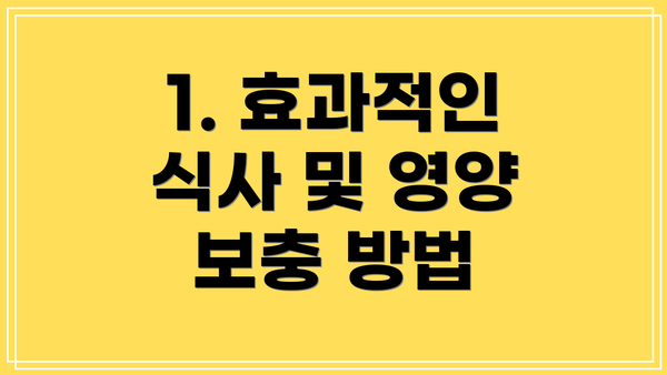 1. 효과적인 식사 및 영양 보충 방법