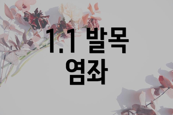 1.1 발목 염좌