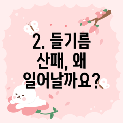 2. 들기름 산패, 왜 일어날까요?