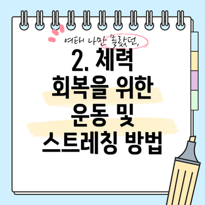 2. 체력 회복을 위한 운동 및 스트레칭 방법