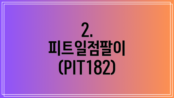 2. 피트일점팔이 (PIT182)