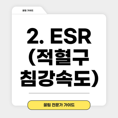 2. ESR (적혈구 침강속도)