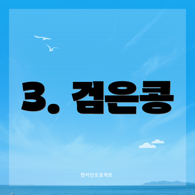 3. 검은콩