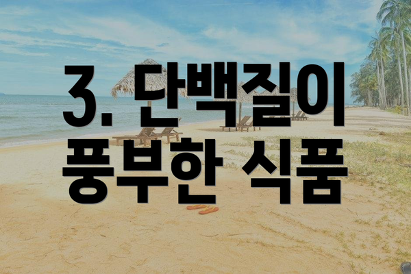 3. 단백질이 풍부한 식품