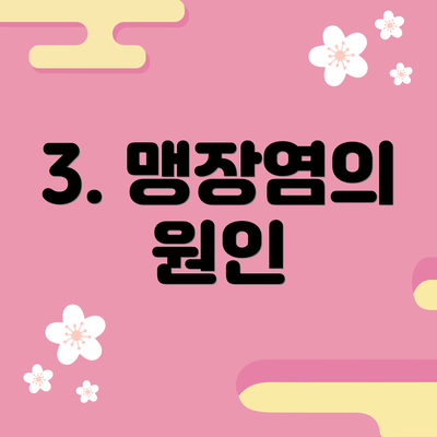 3. 맹장염의 원인