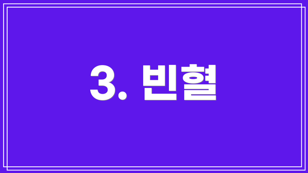 3. 빈혈