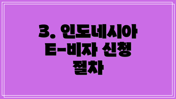 3. 인도네시아 E-비자 신청 절차