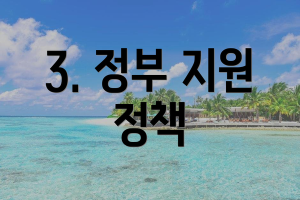 3. 정부 지원 정책