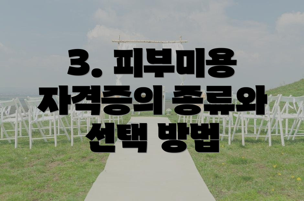 3. 피부미용 자격증의 종류와 선택 방법