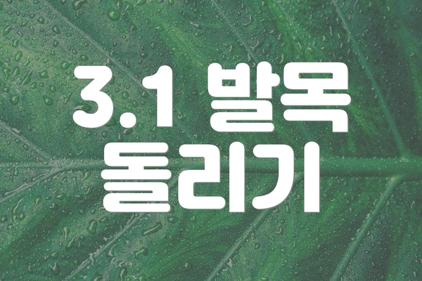 3.1 발목 돌리기