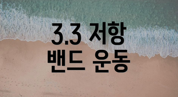 3.3 저항 밴드 운동