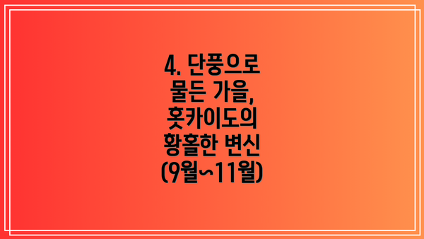 4. 단풍으로 물든 가을, 홋카이도의 황홀한 변신 (9월~11월)