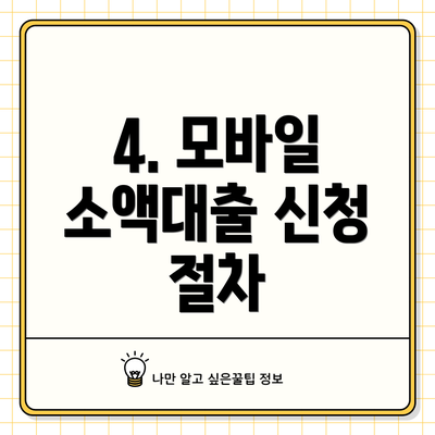 4. 모바일 소액대출 신청 절차
