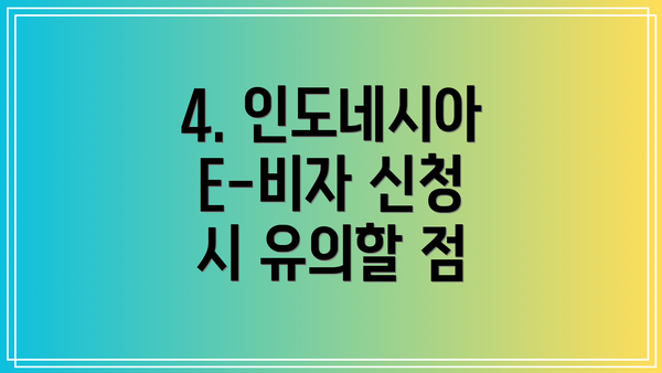 4. 인도네시아 E-비자 신청 시 유의할 점