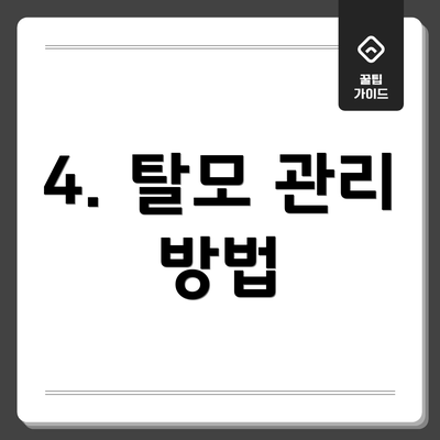4. 탈모 관리 방법