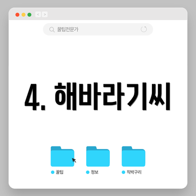4. 해바라기씨
