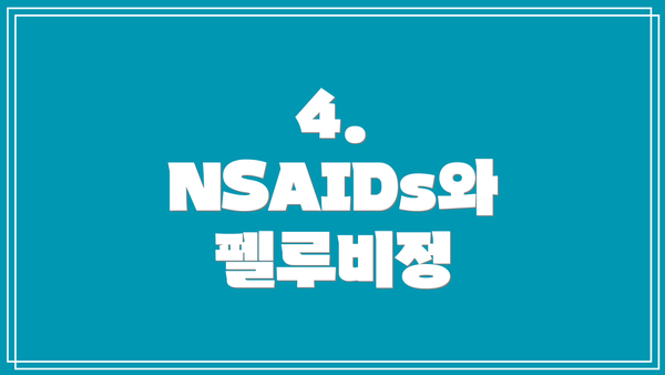 4. NSAIDs와 펠루비정