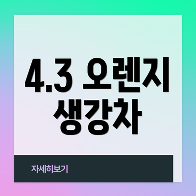 4.3 오렌지 생강차