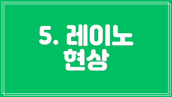 5. 레이노 현상