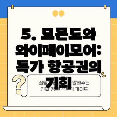 5. 모몬도와 와이페이모어: 특가 항공권의 기회