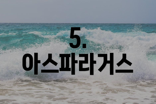 5. 아스파라거스