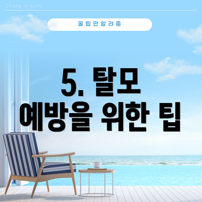 5. 탈모 예방을 위한 팁