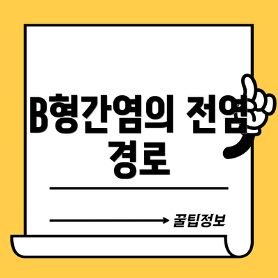 B형간염의 전염 경로