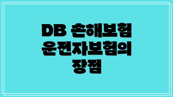 DB 손해보험 운전자보험의 보장내용