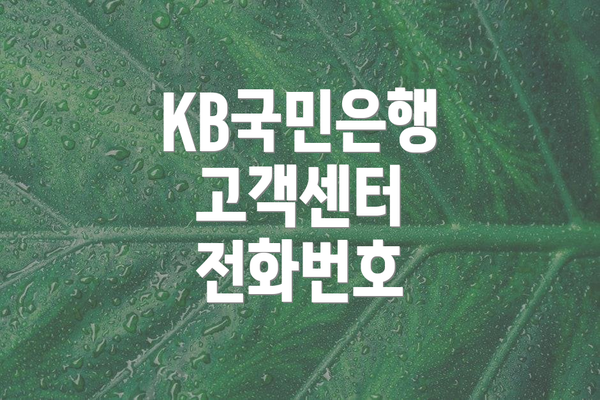KB국민은행 고객센터 전화번호