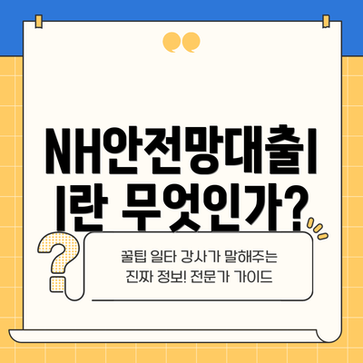 NH안전망대출II란 무엇인가?